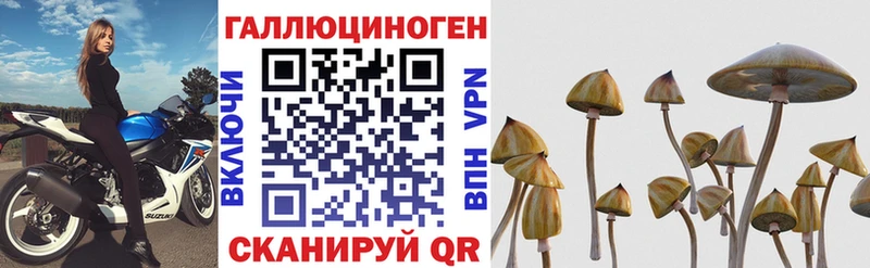 Галлюциногенные грибы Psilocybe  Батайск 