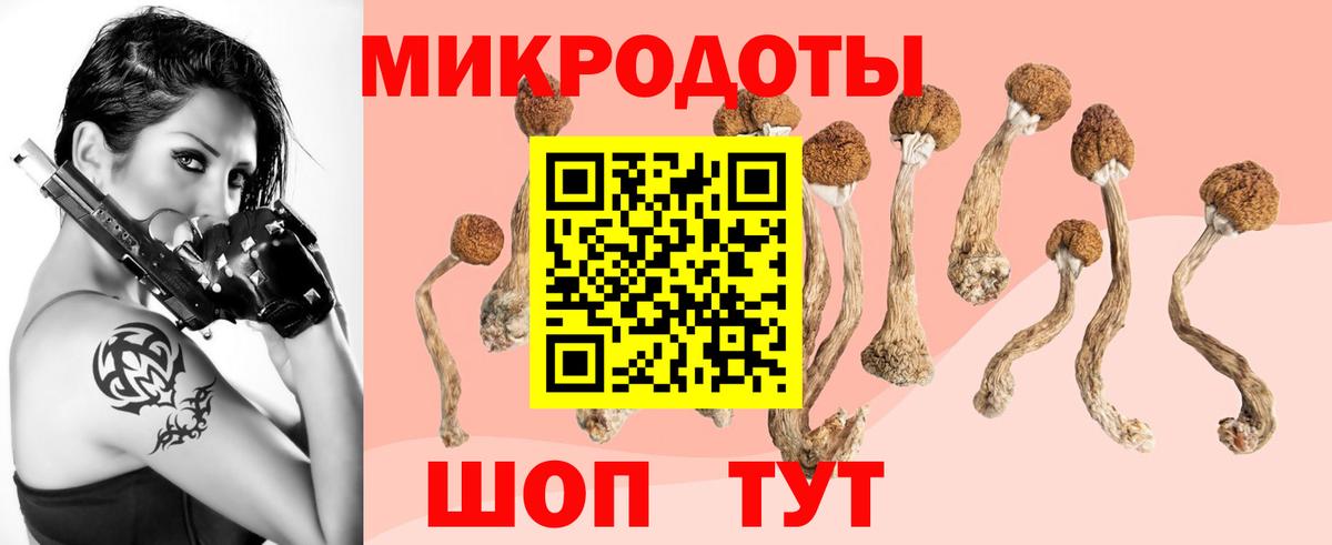 купить   Батайск  Галлюциногенные грибы Psilocybine cubensis  Галлюциногенные грибы Psilocybine cubensis 